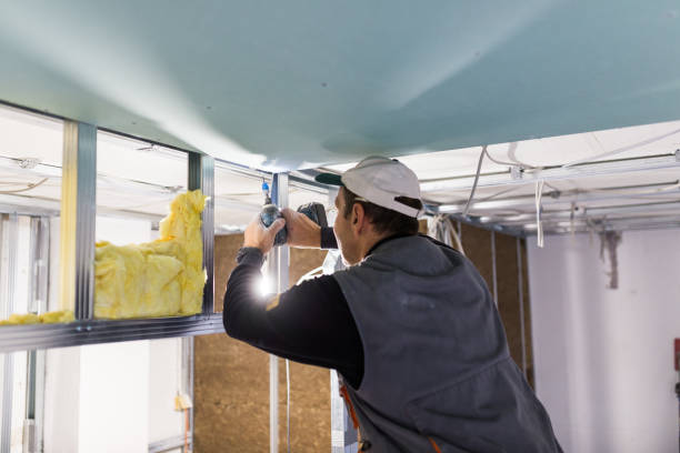 Insulation Contractors for Homes in Heidelberg, TX