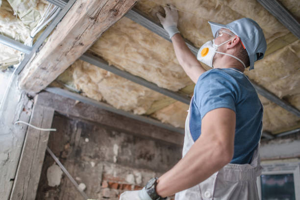 Best Professional Insulation Contractor  in Heidelberg, TX