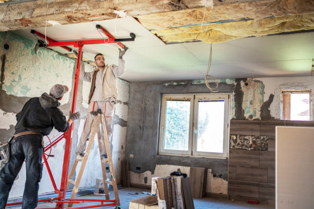 Best Insulation Removal  in Heidelberg, TX