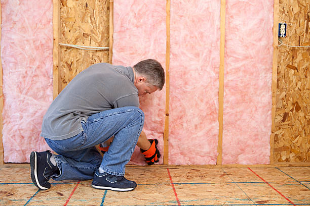 Best Local Insulation Services  in Heidelberg, TX