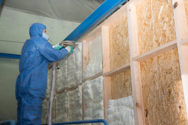 Insulation Contractors for Homes in Heidelberg, TX