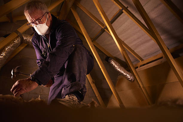 Best Insulation Inspection Services  in Heidelberg, TX