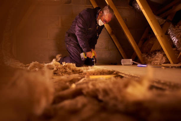 Best Insulation Contractor Near Me  in Heidelberg, TX